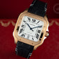 Cartier Santos WGSA0019 Full Set