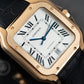 Cartier Santos WGSA0019 Full Set